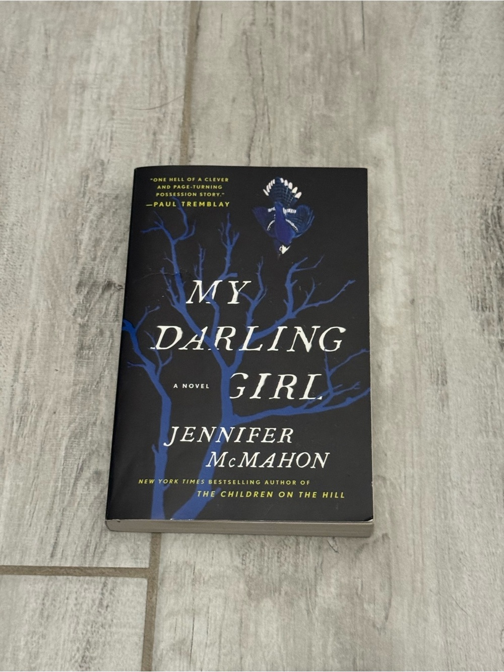 My Darling Girl by Jennifer McMahon